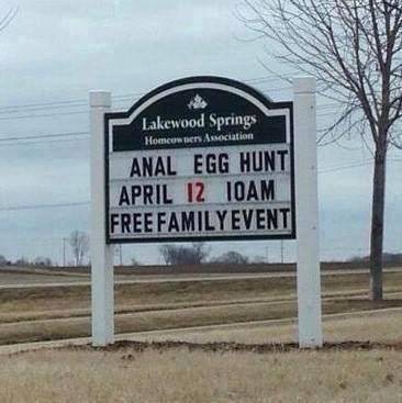 Anal egg hunt